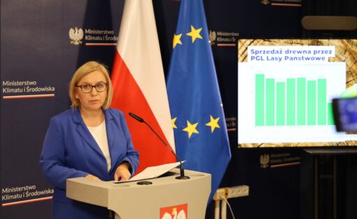 Ministerstwo Klimatu i&nbsp;Środowiska przedstawia raport o&nbsp;sytuacji branży leśno-drzewnej